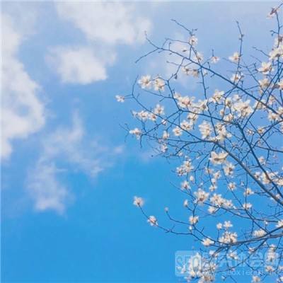 山海诛仙传内购破解版下载